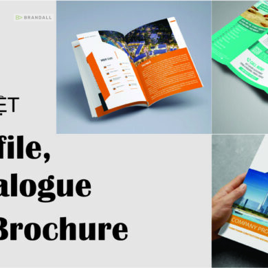 Phân biệt giữa Catalogue và Brochure